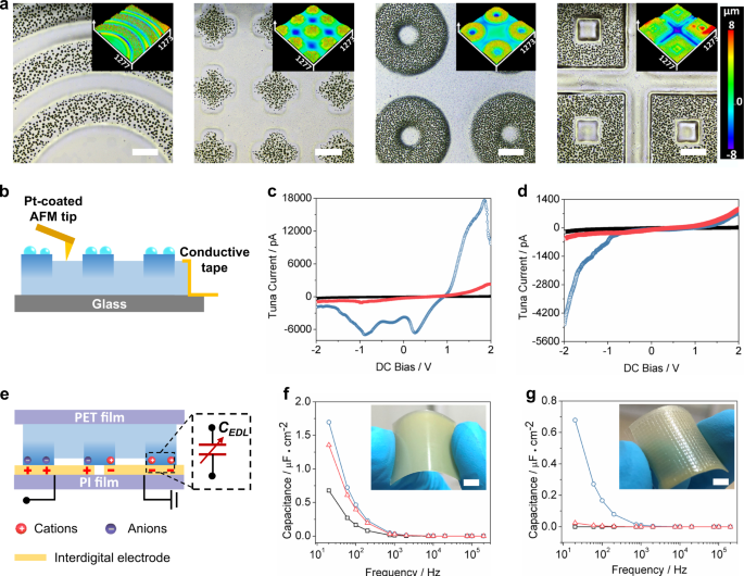 Fig. 3: Localized regulation of the ionic electrical performance of primary patterns.