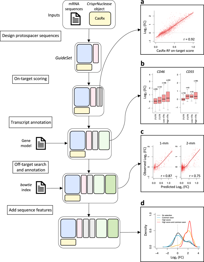 Fig. 5: crisprDesign workflow to design gRNAs tiling CD55 and CD46 using CasRx.