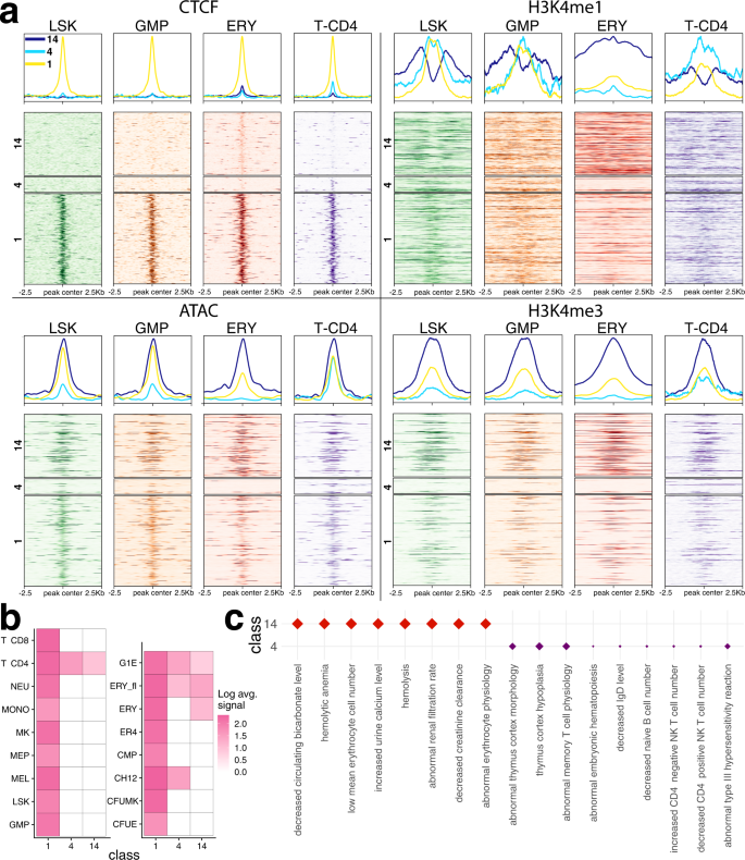 Fig. 3: CTCF binding patterns uncovered by CLIMB capture different patterns of epigenetic modifications.