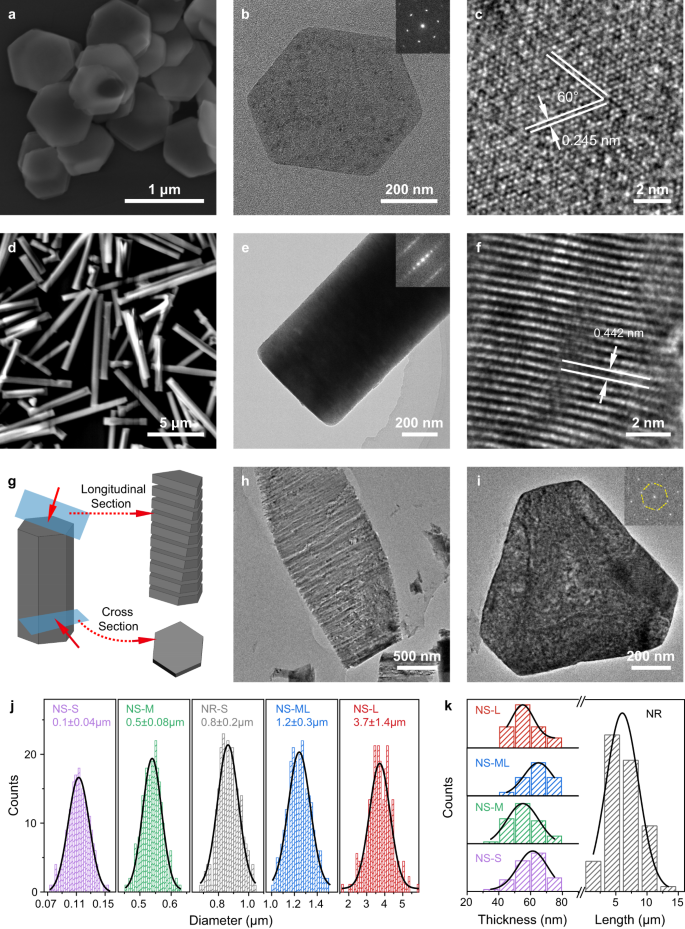 Fig. 1: Microstructures of CoOOH NS and NR.