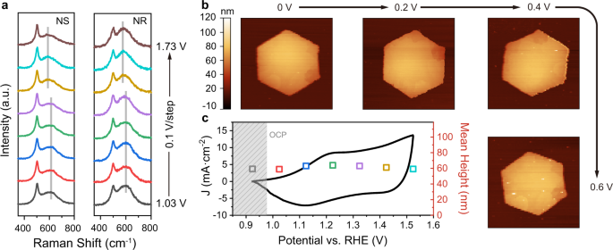 Fig. 3: In situ Raman and EC-AFM analysis of CoOOH NS and NR.