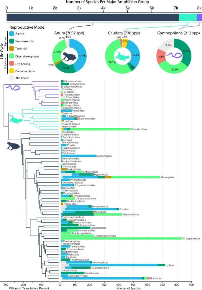 https://media.springernature.com/lw685/springer-static/image/art%3A10.1038%2Fs41467-022-34474-4/MediaObjects/41467_2022_34474_Fig1_HTML.png?as=webp