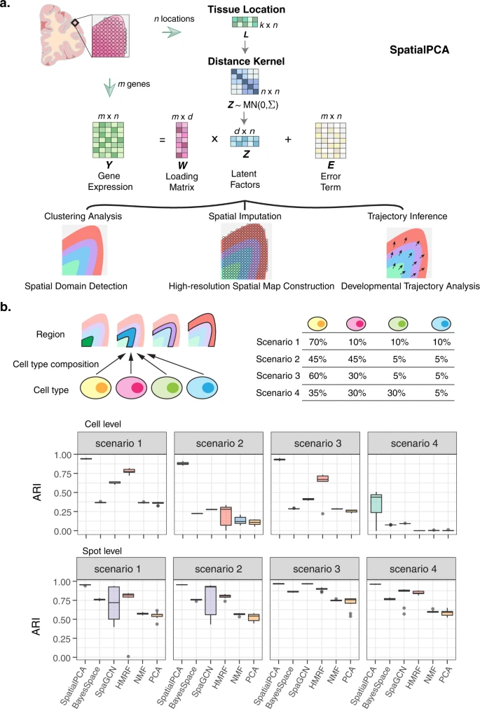 spatial transcriptomics