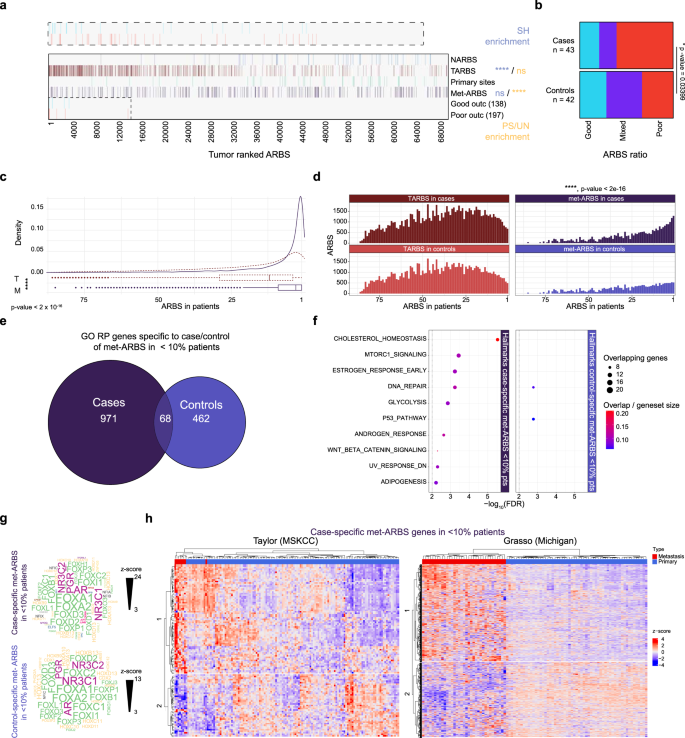 Fig. 5: Metastasis-associated heterogeneous ARBS in poor-outcome primary tumors drive different gene expression pathways.