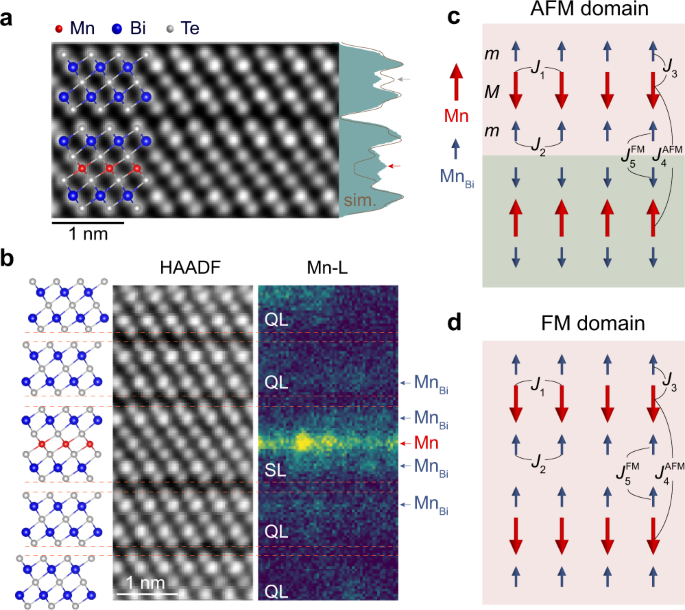 Fig. 2: STEM characterizations and an intuitive model of inter-SL FM and AFM orders in MnBi4Te7 and MnBi6Te10.