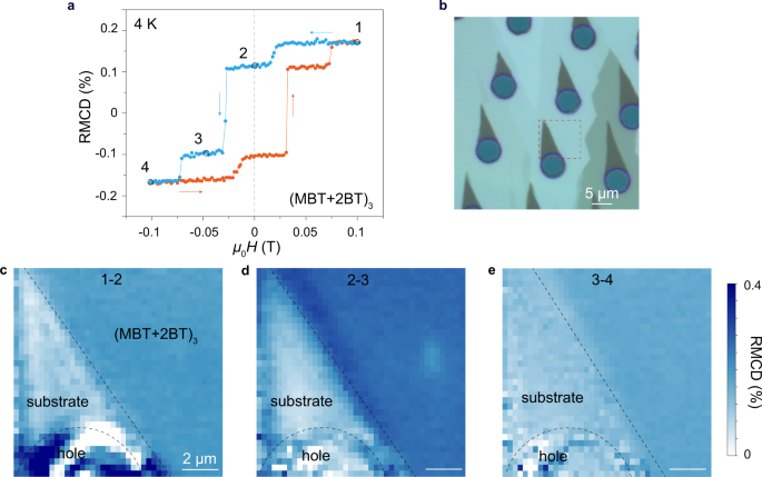 Fig. 3: Spatial RMCD mappings of (MBT+2BT)3 sample.