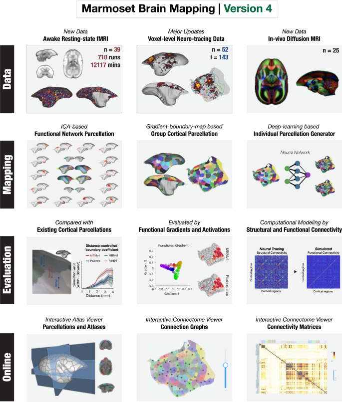 Brain Test 4 Level 206 Walkthrough 