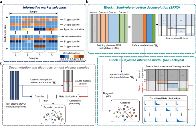 Fig. 1: The overview of cancer early diagnosis approach.