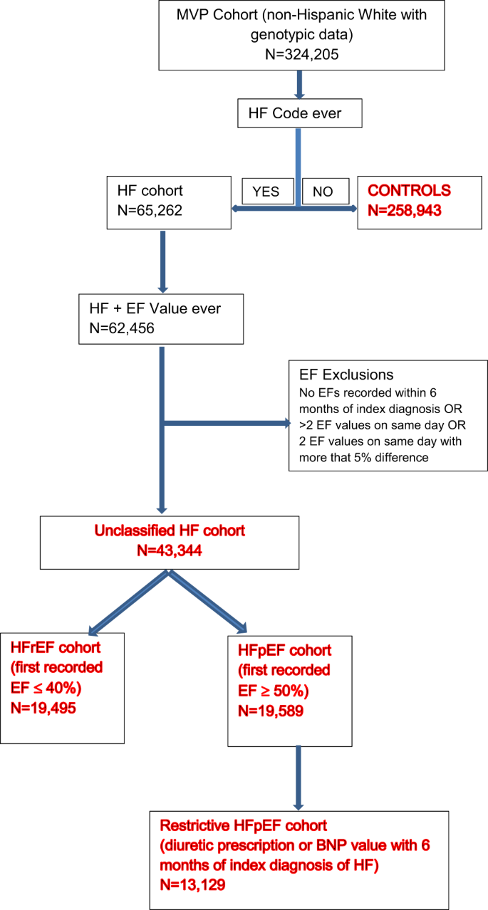 Fig. 2: Algorithm for phenotyping of cohorts for genetic analyses.