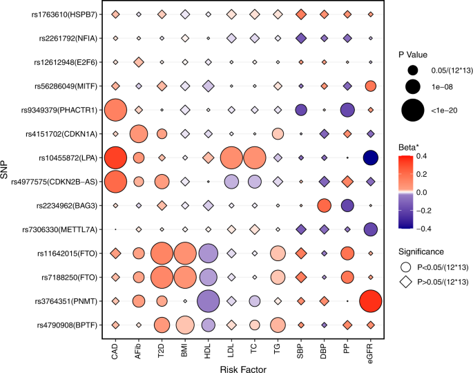 Fig. 4: Genetic associations between HFrEF/HFpEF risk variants and HF risk factors.
