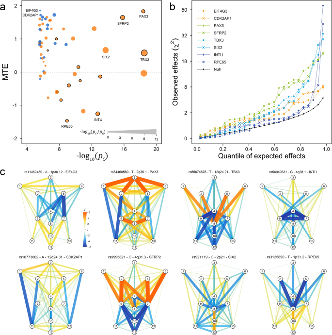 Fig. 5: Multi-trait effects of the face-associated SNPs with examples.