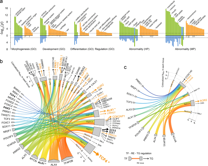 Fig. 6: Biological annotation of significant findings.