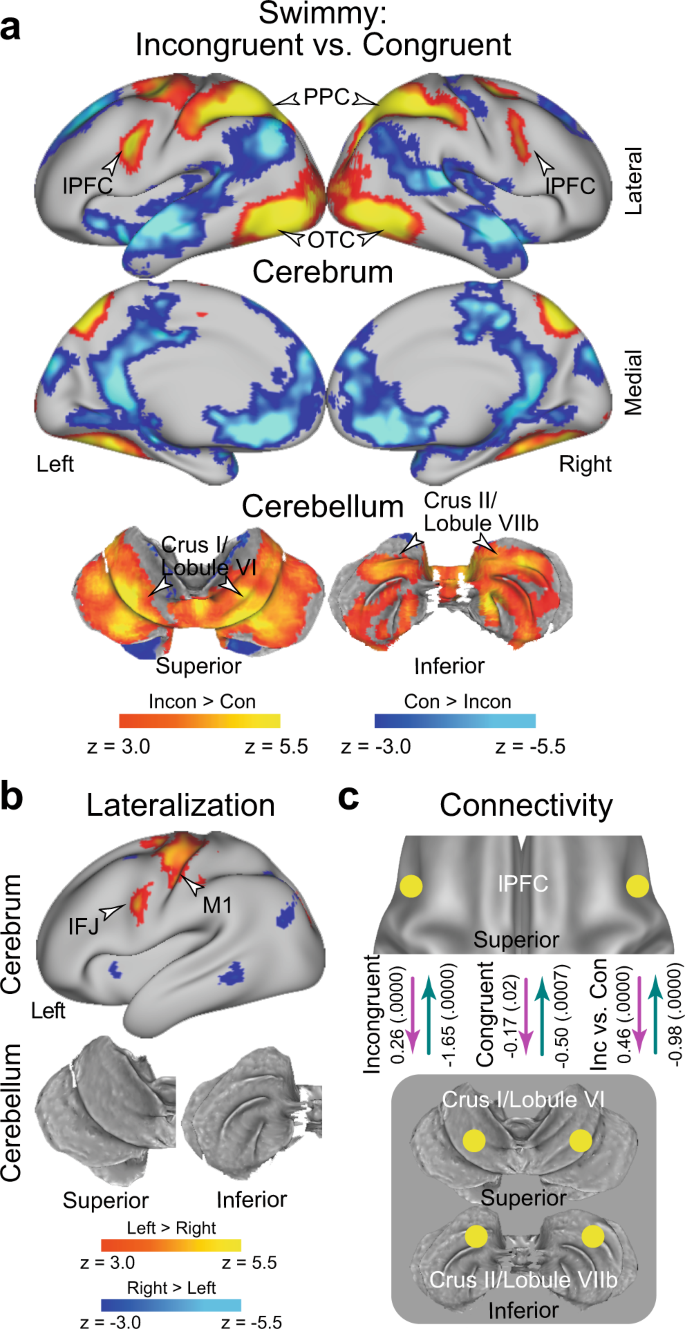 Whole-brain two-sample t-test results for the incongruent condition