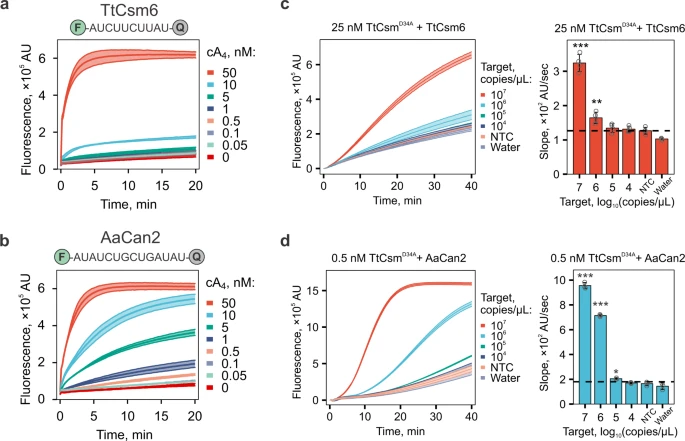 Sequence-specific capture and concentration of viral RNA by type III CRISPR system enhances diagnostic