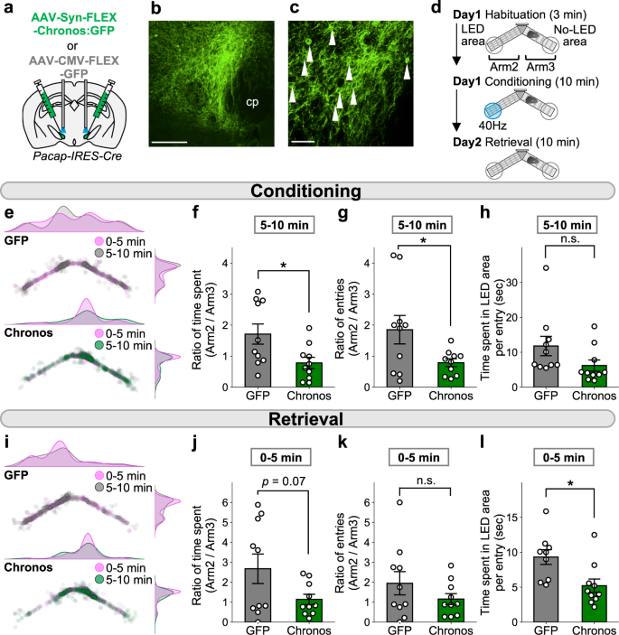 A parabrachial to hypothalamic pathway mediates defensive behavior