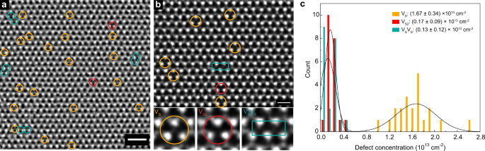 Fig. 4: Atomic defects characterized by scanning transmission electron microscope (STEM).