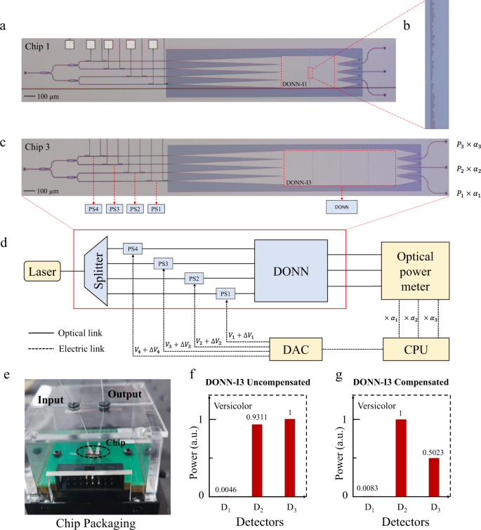 Fig. 5: Structures of the on-chip DONN-I1 and DONN-I3 specimens and the experimental flow and test results.