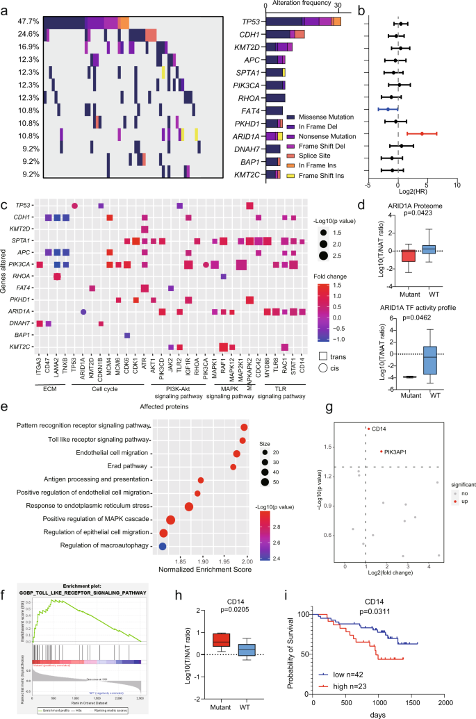 Fig. 2: A summary of proteogenomic analysis of DGC.