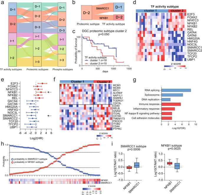 Fig. 6: Characteristics of Multilevel Proteomic Subtyping and its Robustness.