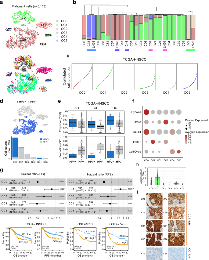 Fig. 3: Malignant cell cluster with LGALS7 expression shows an aggressive phenotype.