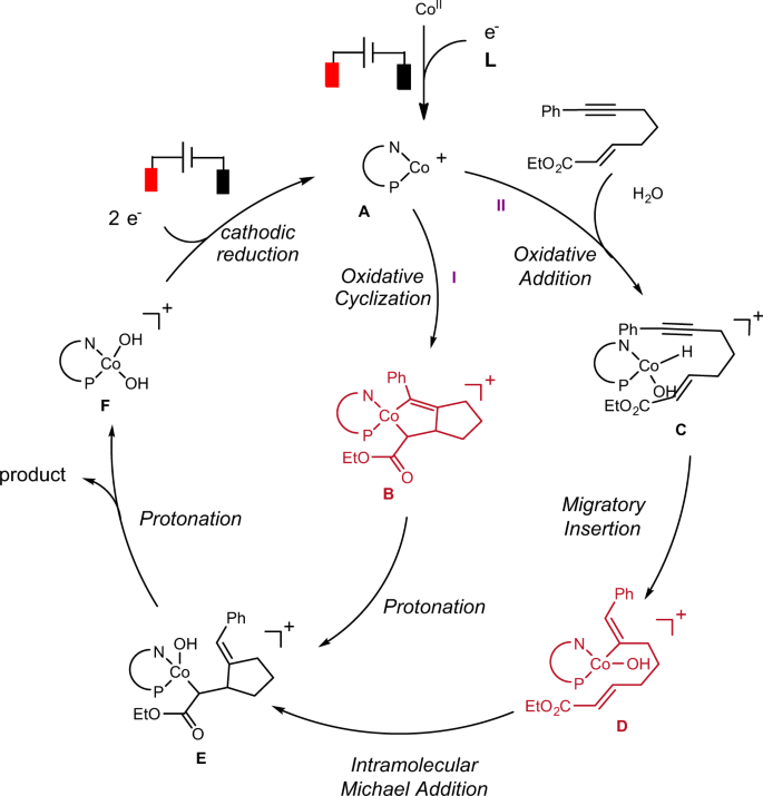 Fig. 4: Proposed catalytic cycle.