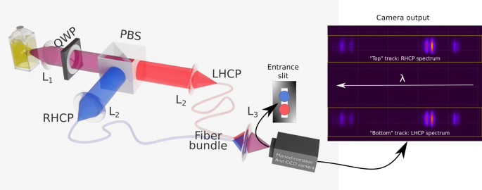 https://media.springernature.com/lw685/springer-static/image/art%3A10.1038%2Fs41467-023-36782-9/MediaObjects/41467_2023_36782_Fig1_HTML.png?