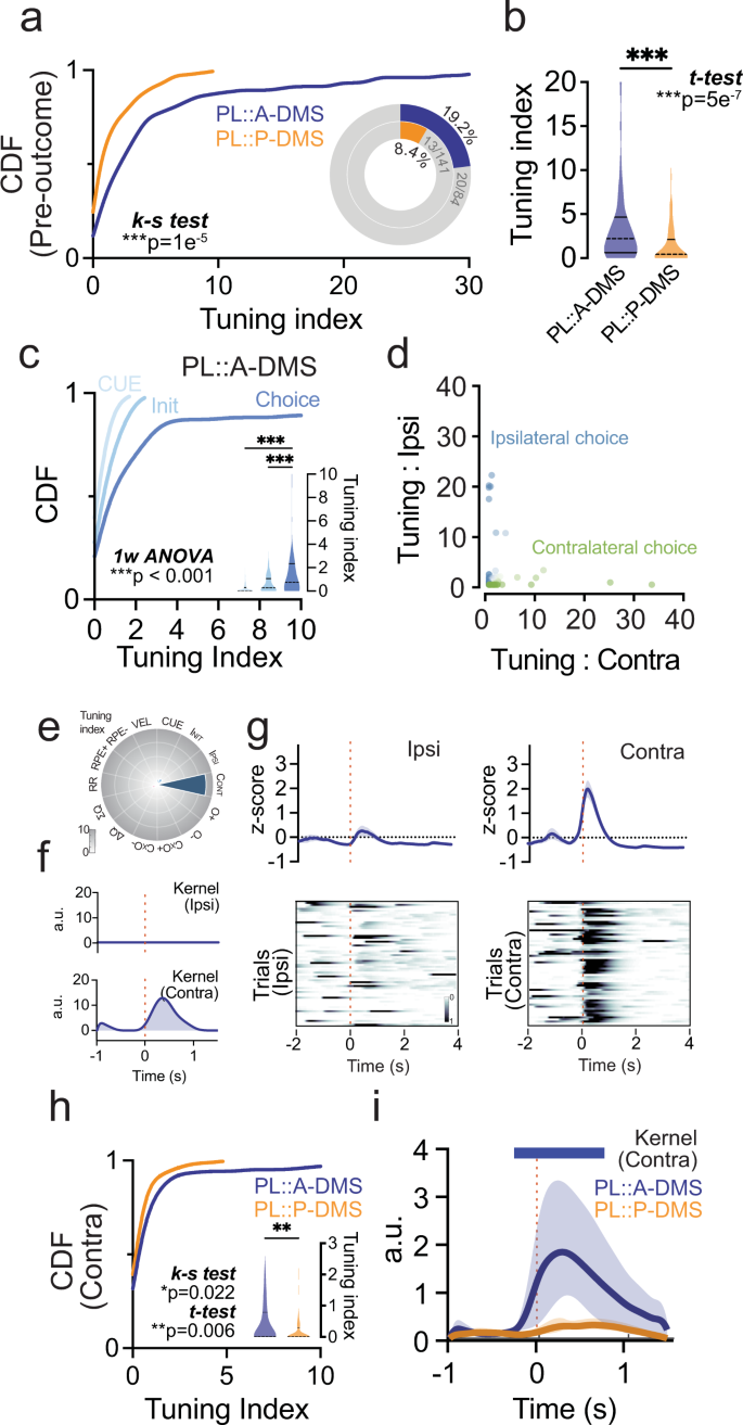 Fig. 5: Pre-outcome tuning is dominated by preferential encoding of choice in PL::A-DMS.