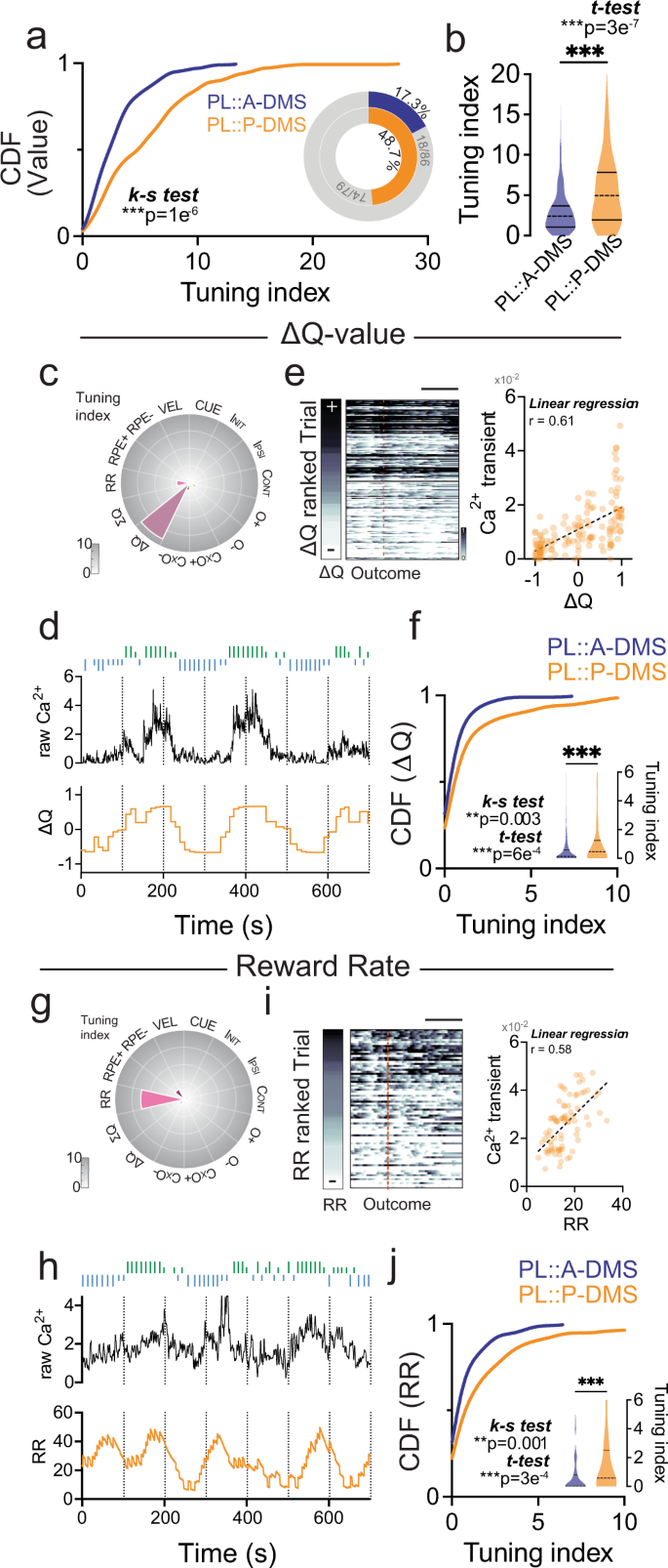 Fig. 7: Preferential representation of internal value in PL::P-DMS.