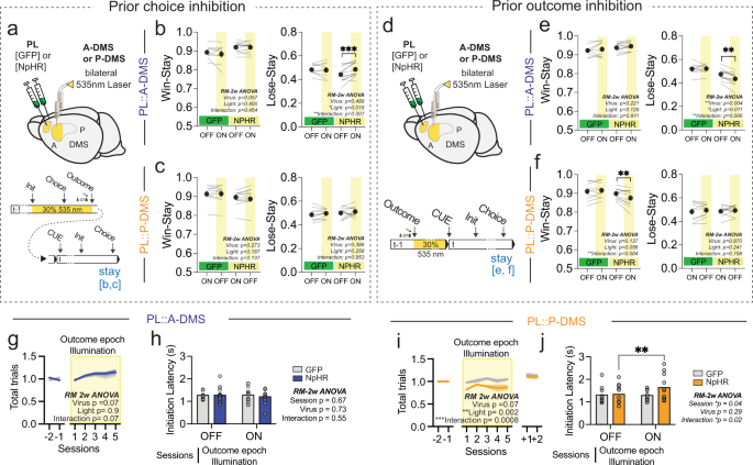 Fig. 8: Optogenetic suppression during choice/outcome epoch impaired subsequent choice selection in a pathway-specific manner.