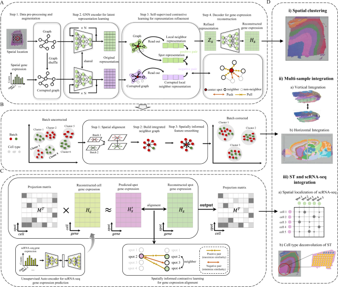 Fig. 1: Overview of GraphST.