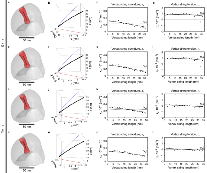 Fig. 7: Vortex states in a truncated experimental nanocap.