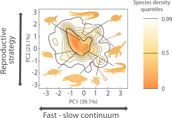 https://media.springernature.com/lw685/springer-static/image/art%3A10.1038%2Fs41467-023-37089-5/MediaObjects/41467_2023_37089_Fig1_HTML.png?as=webp