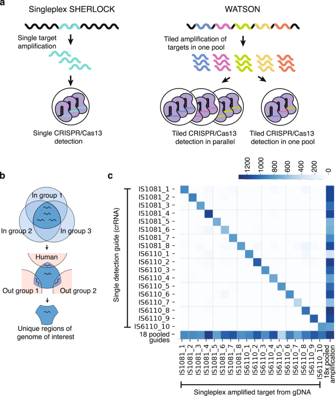 Fig. 1: Experimental and computational workflow of WATSON.