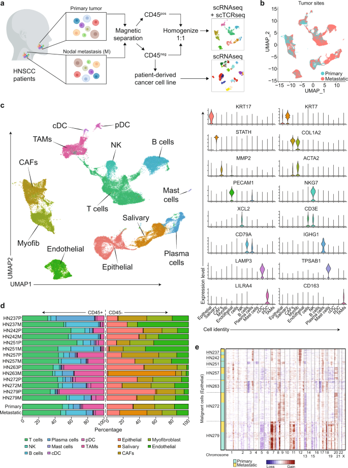 Fig. 1: Tumor samples for single-cell RNAseq.