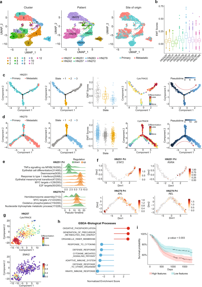 Fig. 2: scRNAseq analysis of malignant epithelial cells and identification of pre-metastatic sub-population.