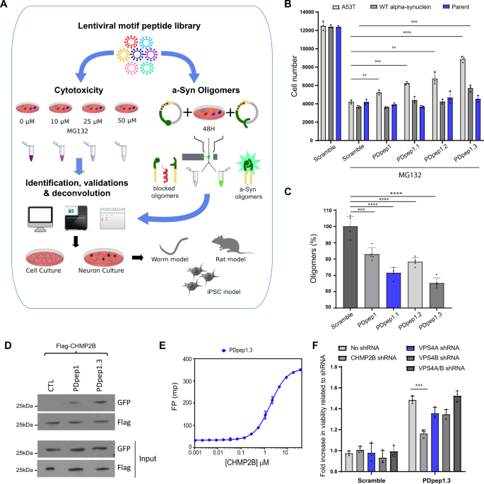 Fig. 1: Proteomic screens and in vitro validation of hits.