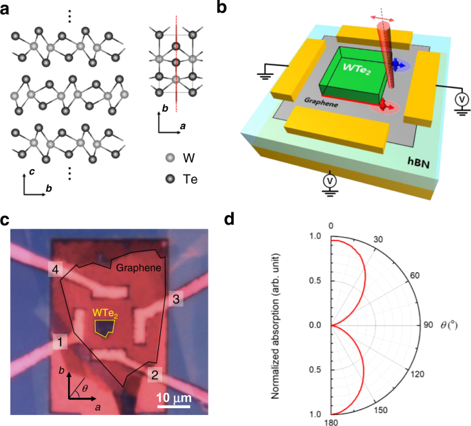 Fig. 1: Crystal structure of multilayer Td-WTe2 and experimental design.