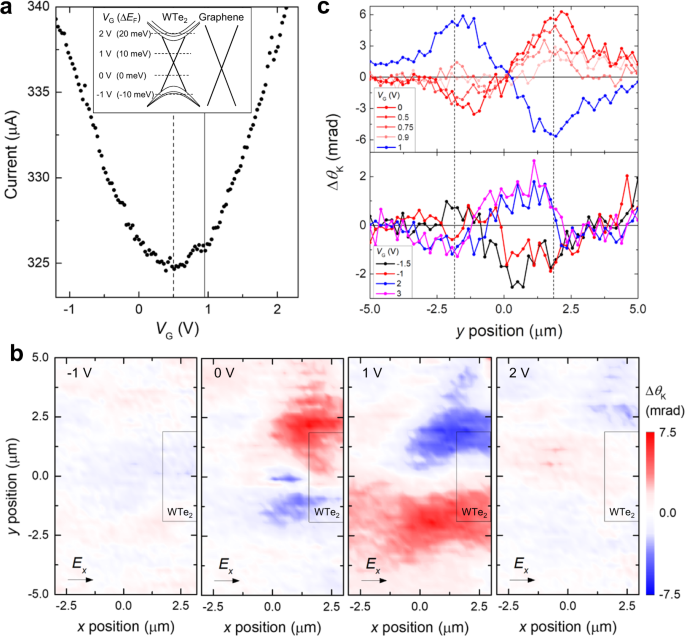 Fig. 2: Gate voltage dependence of the spatially resolved differential Kerr rotation.