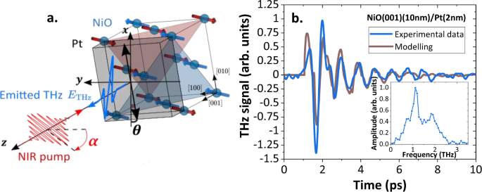 Fig. 1: Laser induced coherent and incoherent THz emission from NiO/Pt bilayer.
