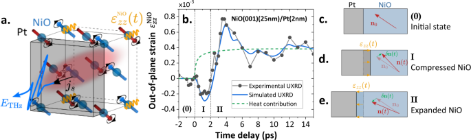 Fig. 4: Ultrafast strain dynamics in NiO(001)/Pt leading to the THz emission.