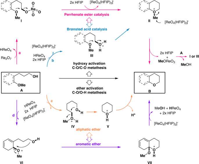 Drug Hunter on LinkedIn: Macrocyclization via Ring-Closing Metathesis in  Drug Discovery & Process…