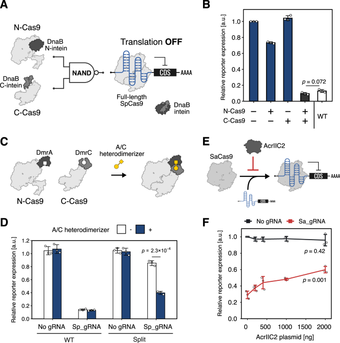 Fig. 3: Repurposing CRISPR technologies for translational regulation.