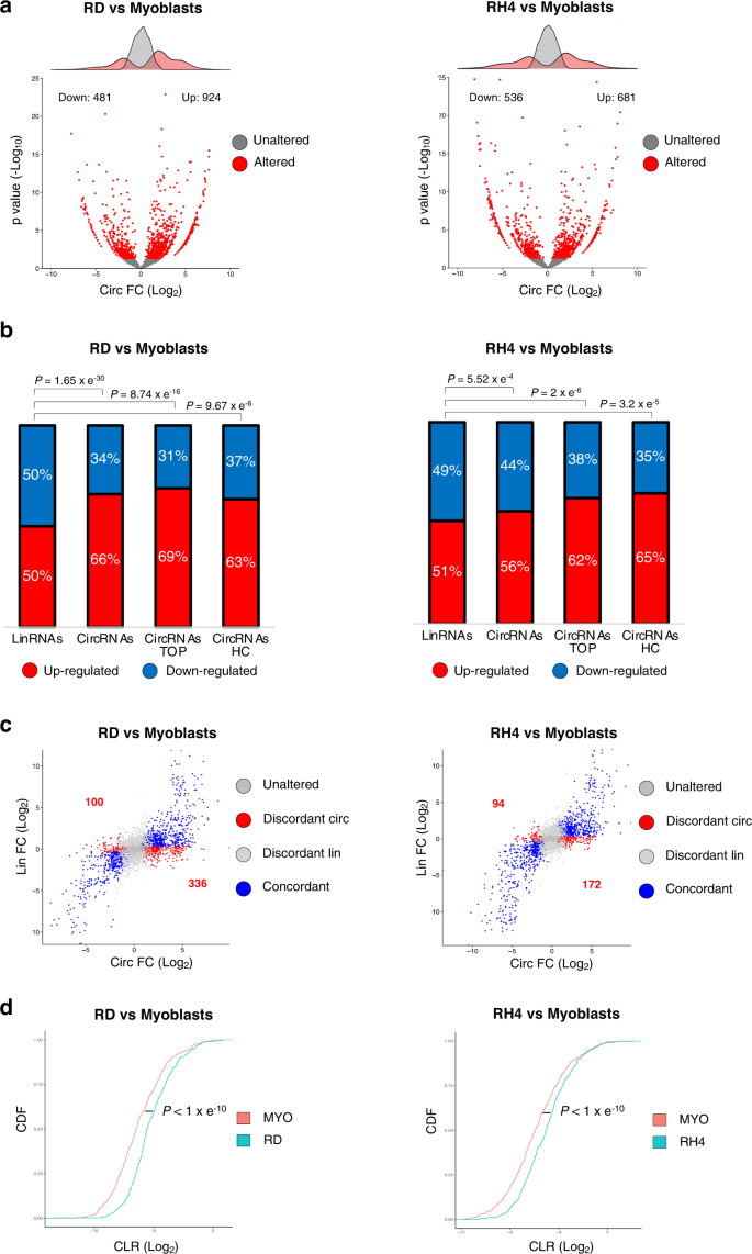 Fig. 1: CircRNA levels increase in RMS.