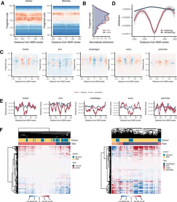 Fig. 6: Interpretation of the epigenome model.