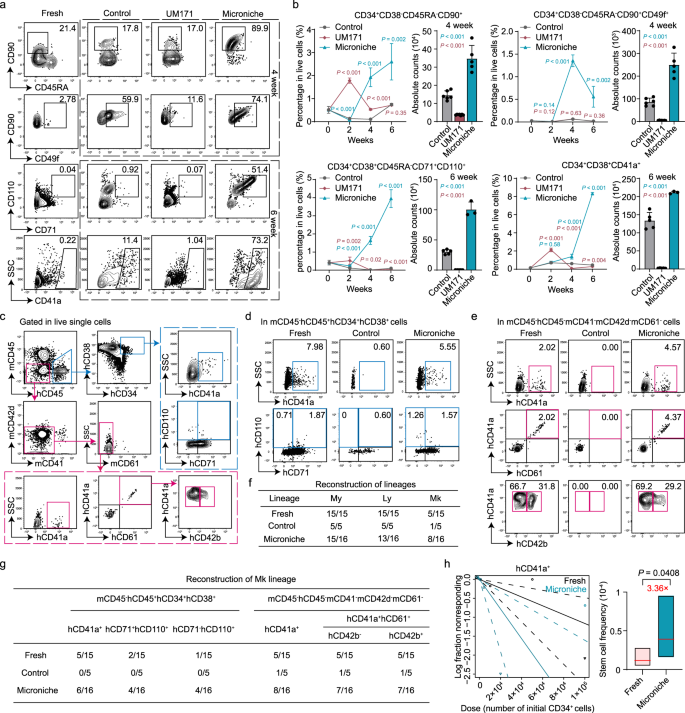 Fig. 2: Functional Mk-biased HSC expansion using the Microniche culture system in vitro and ex vivo.