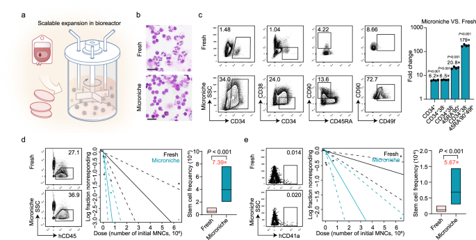 Fig. 3: Large-scale dynamic bulk-culture with Microniche.