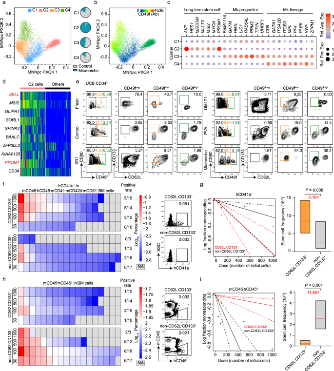 Fig. 4: Determination of functional Mk-biased HSC immune phenotype.