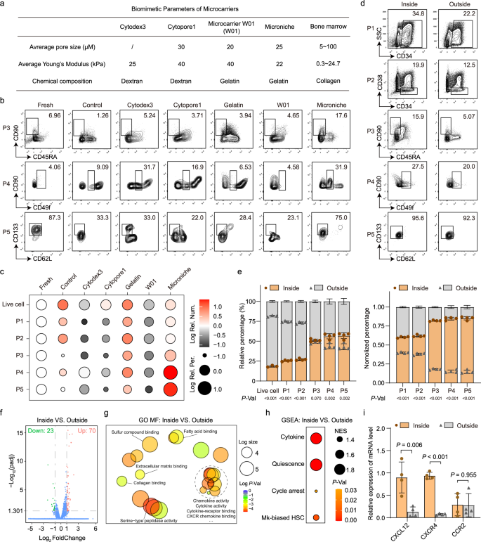 Fig. 6: The effect of physical structure to expansion of primitive and Mk-biased HSCs.