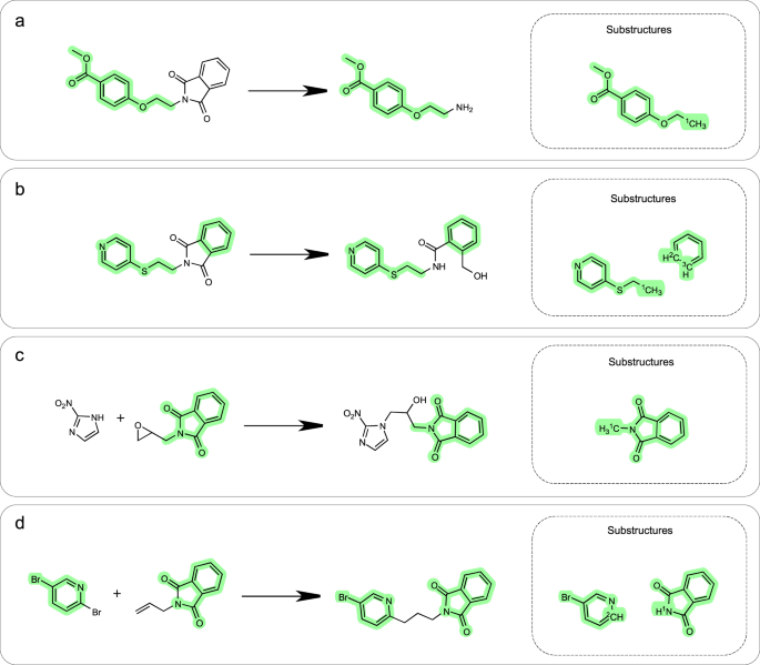 Fig. 4: Product molecule specific substructures. These reactants all contain phthalimide, with substructures highlighted in green.