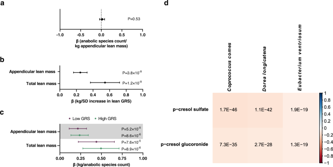Fig. 2: Studies on the underlying nature of the associations between three anabolic species and appendicular lean mass (ALM).